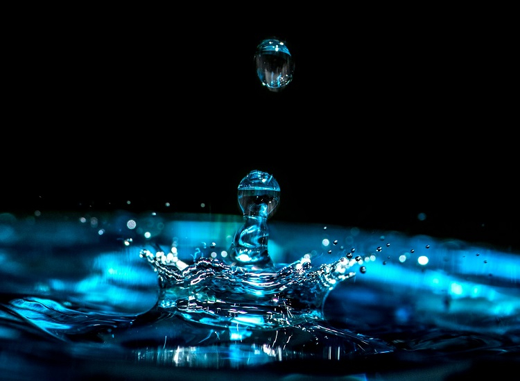  Источник изображения: Erda Estremera/unsplash.com 