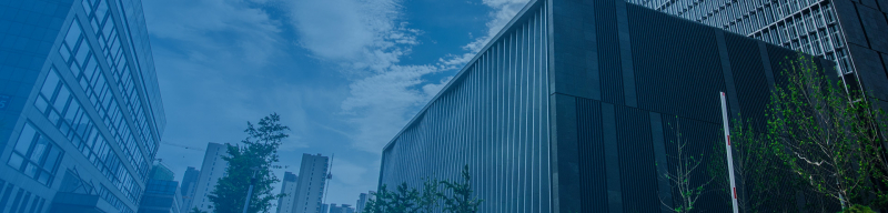  Изображение: Inspur 