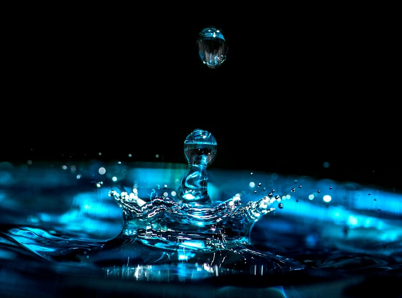  Источник изображения: Erda Estremera/unsplash.com 