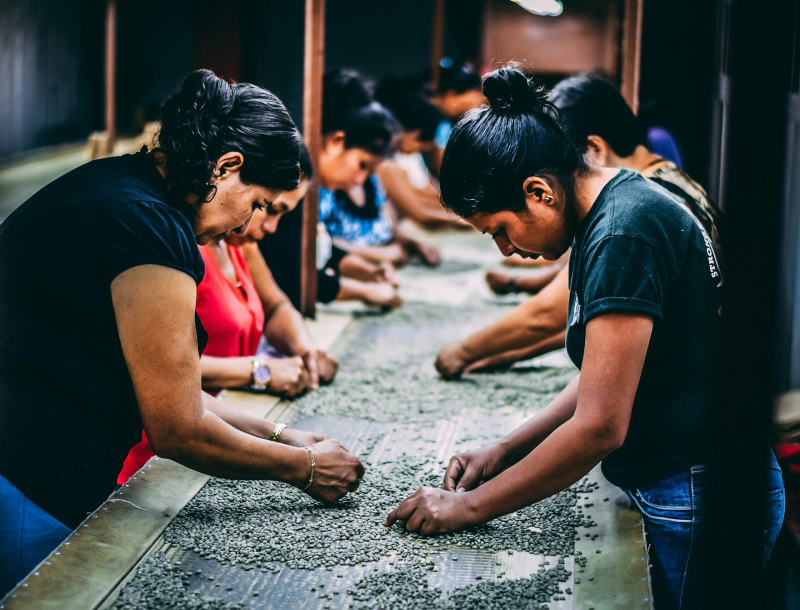  Источник изображения: Max Panamá / Unsplash 