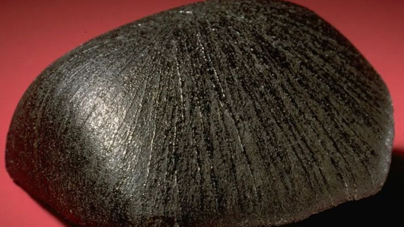  Метеорит «Лафайет». Источник изображения: NMNH 