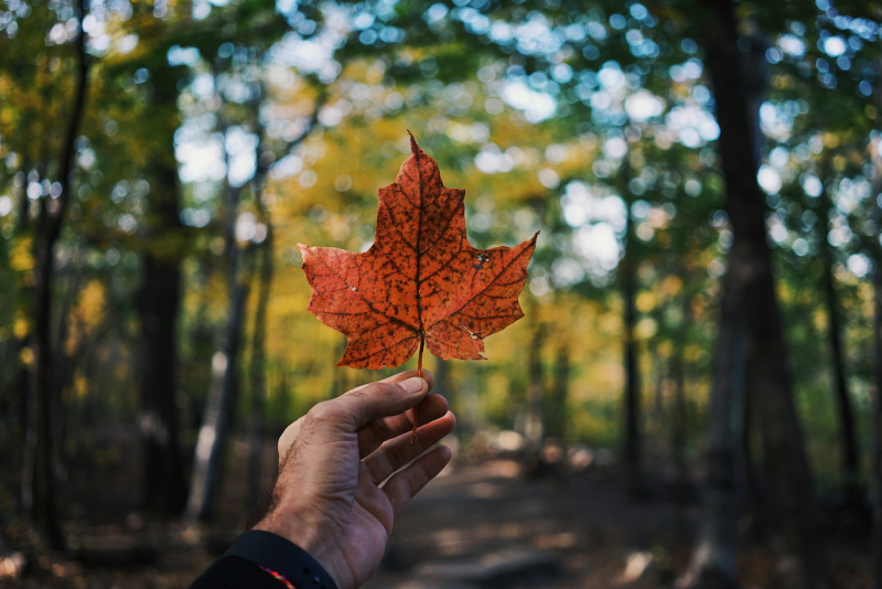  Источник изображения: Guillaume Jaillet / Unsplash 