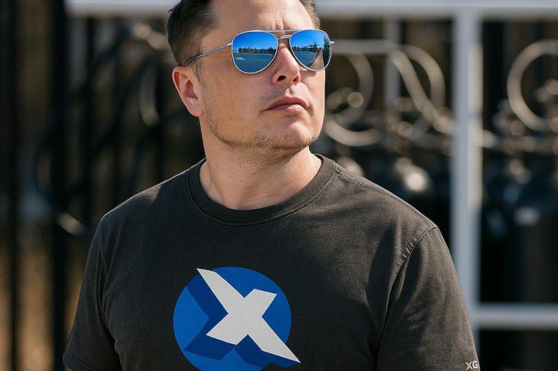 Источник изображения: x.com/elonmusk