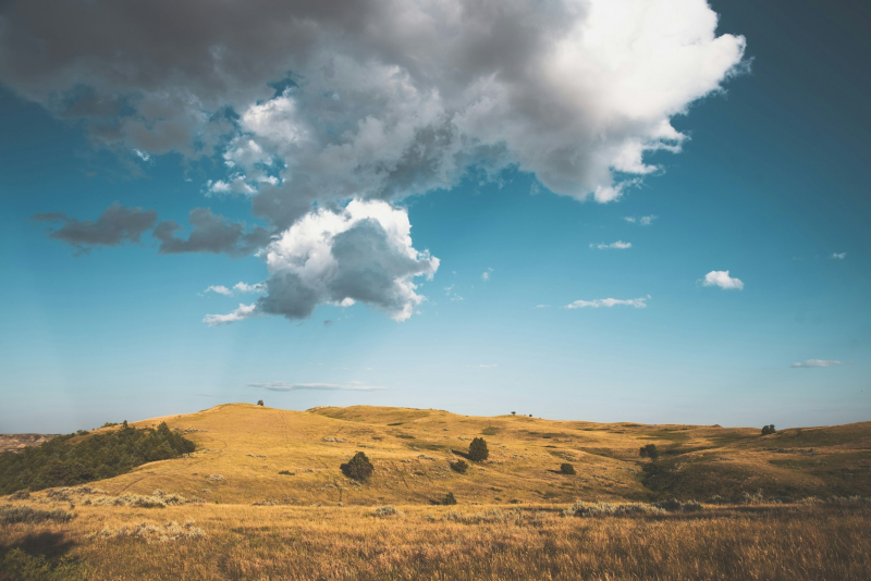 Источник изображения: Linhao Zhang/unsplash.com