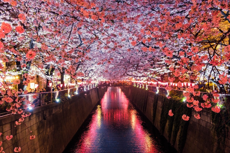  Источник изображения: Sora Sagano/unsplash.com 