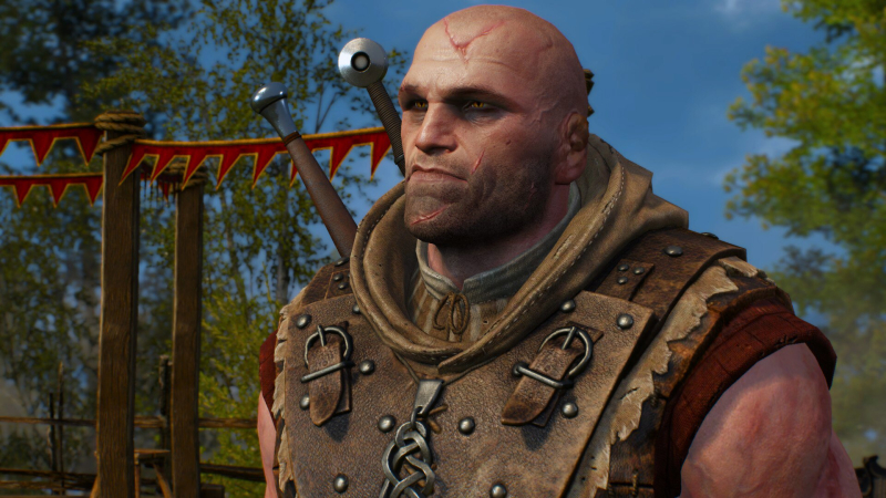  Ведьмак Лето из The Witcher 2: Assassins of Kings — представитель школы Змеи 