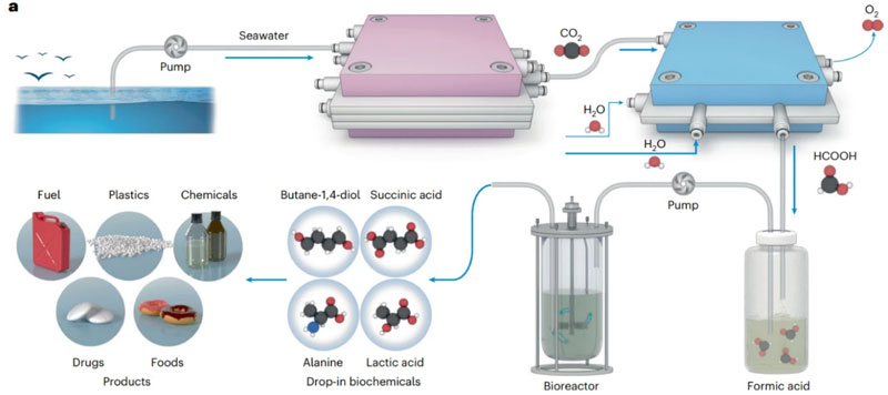 Источник изображения: Nature Catalysis 2025 