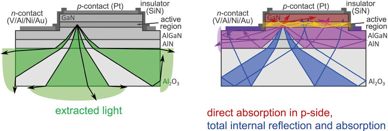 Слева — ход лучей внутри светодиода, излучающего в оптическом диапазоне; для него LEE весьма велика — что, собственно, и обусловливает высокую эффективность таких источников света в сравнении с классическими лампами накаливания, тепловые потери в которых огромны. Справа — точно такой же по конструкции светодиод, но генерирующий UVC-излучение: эффекты поглощения в малопрозрачных для УФ-фотонов слоях, полного внутреннего отражения и смены поляризации существенным образом снижают LEE (источник: FBH)