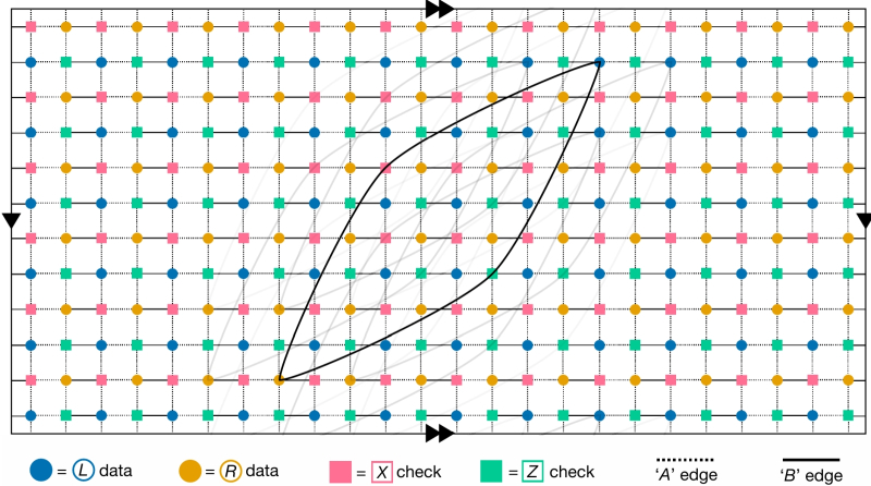  Граф Таннера (двудольный граф, применяемый для визуализации алгоритмов коррекции ошибок) для предложенного IBM Quantum кода с низкоплотной проверкой чётности иллюстрирует исправление сразу двух типов ошибок, битовых (X) и фазовых (Z), — иллюстрация из работы High-threshold and low-overhead fault-tolerant quantum memory, https://doi.org/10.1038/s41586-024-07107-7 (источник: IBM) 