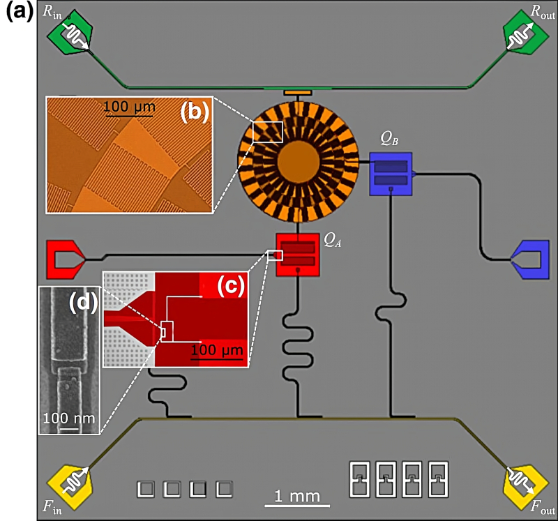  Один из вариантов дизайна двухтрансмонной квантовой сцепки: (a) — общая схема контура с кольцевым резонатором на основе метаматериала; (b) и (c) — оптические микрофотографии элементов устройства с выделением рабочих зон в псевдоцветах; (d) полученное на сканирующем электронном микроскопе изображение джозефсоновского перехода в кубите. Сцепка сформирована парой трансмонных кубитов, 𝑄𝐴 и 𝑄𝐵, связанных с кольцевым резонатором (источник: PRX Quantum) 