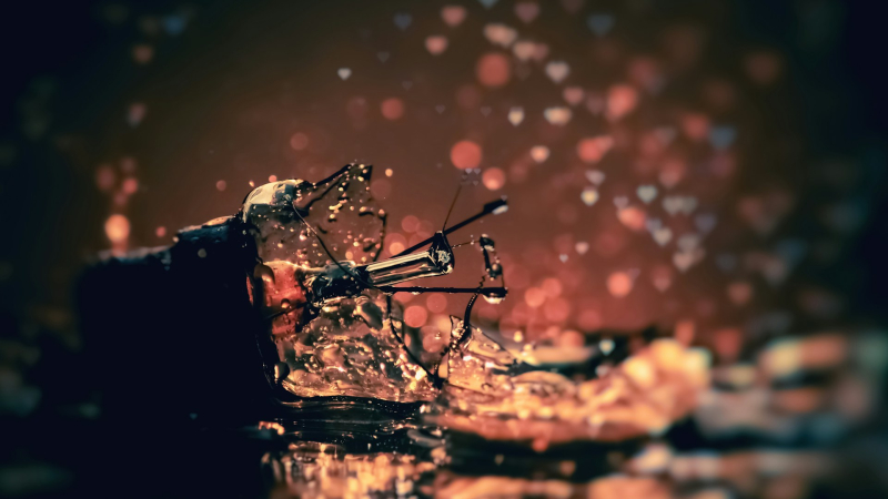  Источник изображения: Anil Jose Xavier / Unsplash 