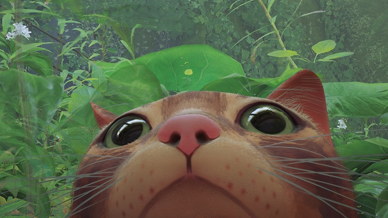 Источник изображения: Steam (Zephyr)