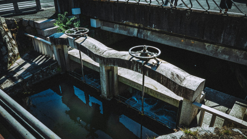  Источник изображения: Tsai Derek/unsplash.com 