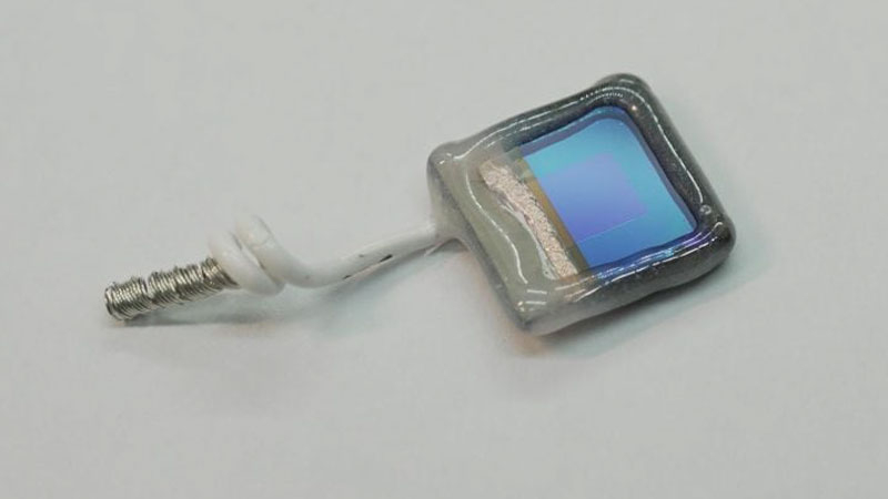  Источник изображения: 