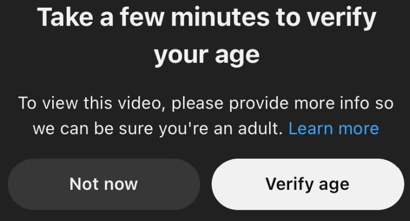  Источник изображения: YouTube 