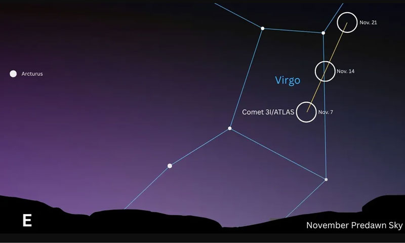  Источник изображения: Anthony Wood 