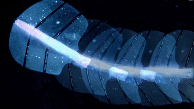  Источник изображений:  ETH Zurich 