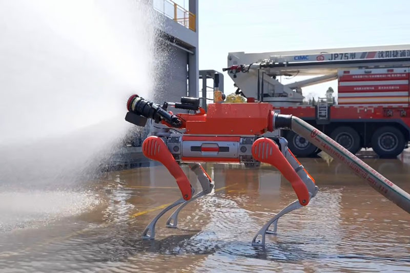  Источник изображения: Unitree 