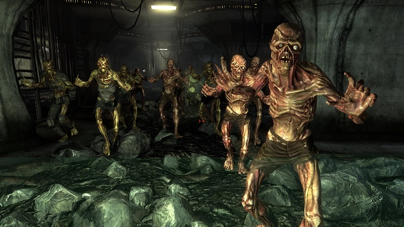  Источник изображения: Bethesda Softworks 