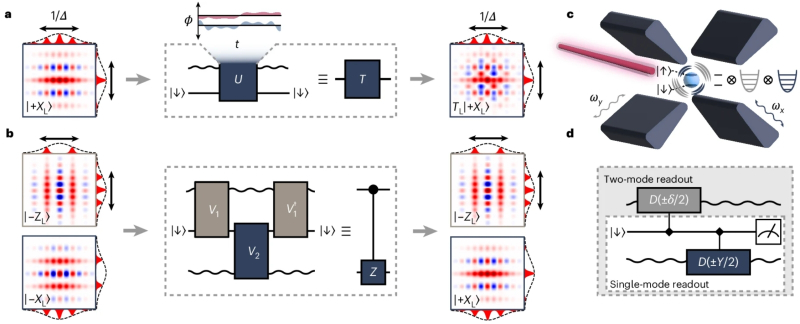  Иллюстрация из обсуждаемой статьи в Nature Physics, на которой показаны: реализация однокубитного (a) и двухкубитного (b) вентилей на захваченном в ловушку ионе иттербия (c), а также схема проведения одно- и двухмодовых измерений по протоколу GKP (d) (источник: University of Sydney) 