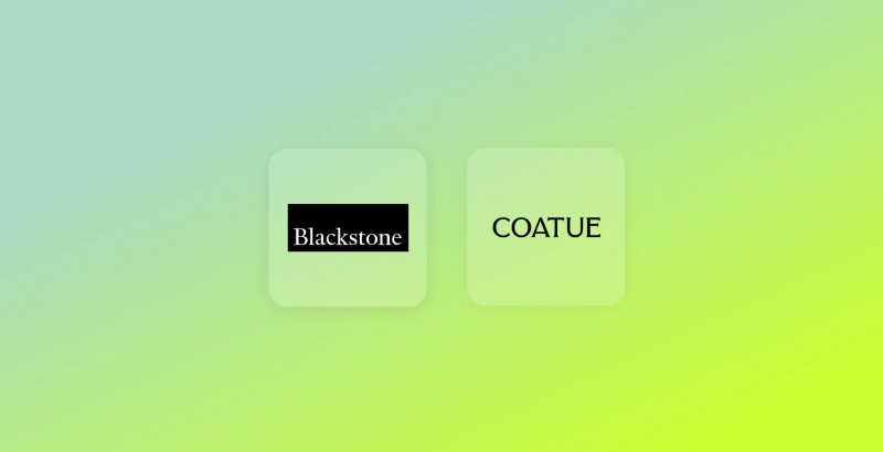  Источник изображения: Firmus 