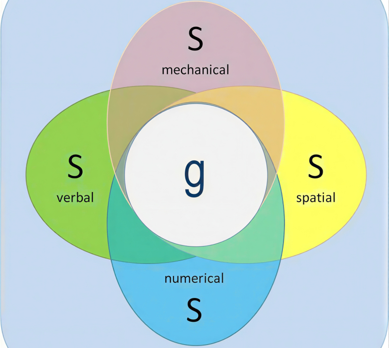  Через специализированные s-факторы различных умственных способностей косвенно определяется общий g-фактор интеллекта (источник: Simply Psychology) 