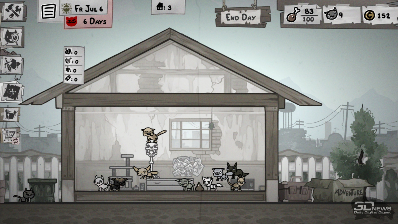  Каждый день в наш дом приходят новые уличные коты 