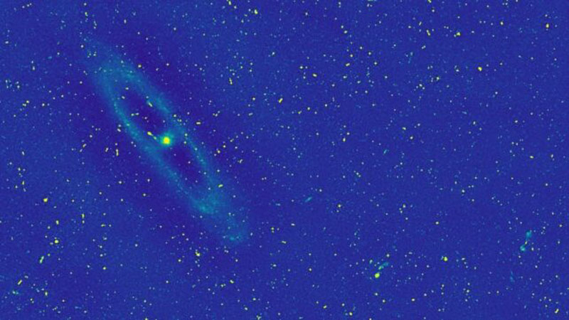  Андромеда в данных LOFAR 