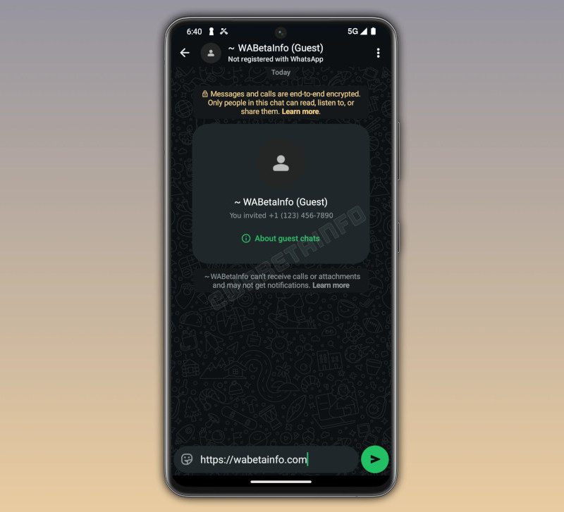  Источник изображения: WABetaInfo.com 