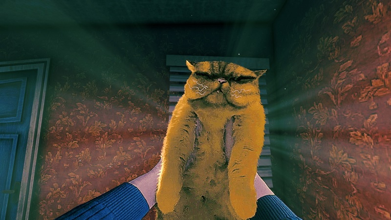  Источник изображения: Steam (Froggi_Toad) 