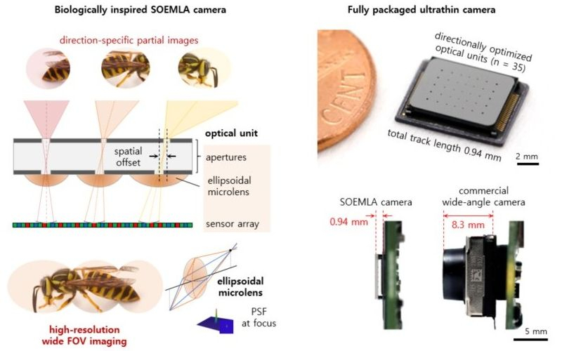  Источник изображения: KAIST, Digital Trends 