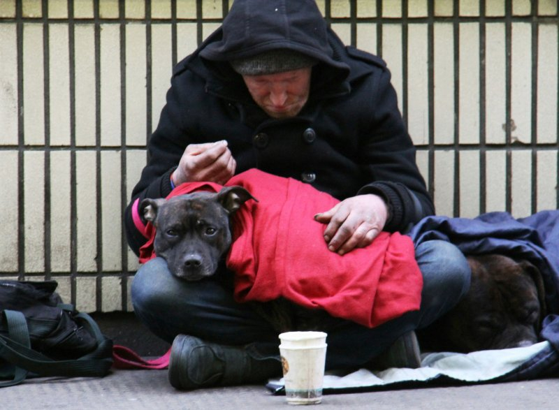  Источник изображения: unsplash.com 