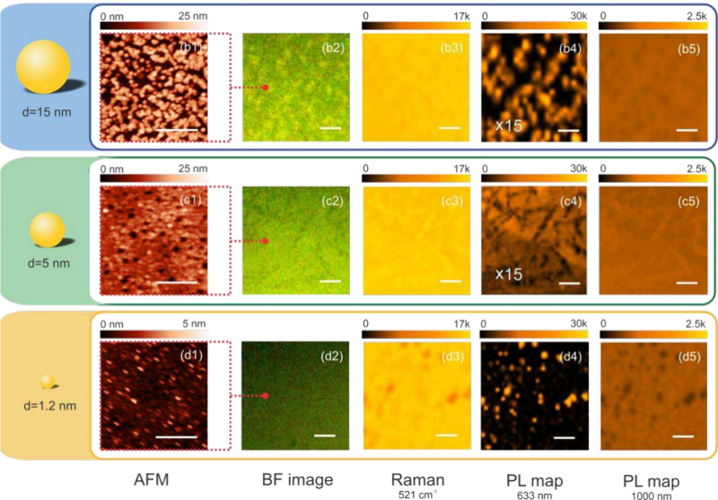  Характеристики и визуализация поверхностей пластин, покрытых частицами золота характерными диаметрами 15 нм (b), 5 нм (c) и 1,2 нм (d): (1) карты АСМ (масштабная линейка 400 нм); (2) оптические изображения в светлом поле с использованием белого света; (3) карты Рамана на фононной линии кремния 521 обратных сантиметров; (4) карты ФЛ при 630 нм; (5) карты ФЛ при 1000 нм, представляющие фононно-опосредованную люминесценцию кремния из нижней части зоны проводимости в точке X. Масштабная линейка для всех оптических изображений составляет 5 мкм. Примечание: карты ФЛ при 630 нм для образцов 15 нм (b4) и 5 ​​нм (c4) увеличены в 15 раз. (источник: Nano Letters) 