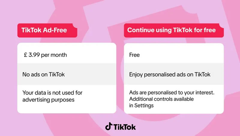  Источник изображения: TikTok 