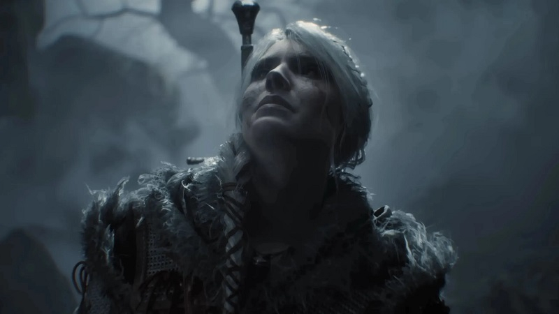  Источник изображения: CD Projekt Red 
