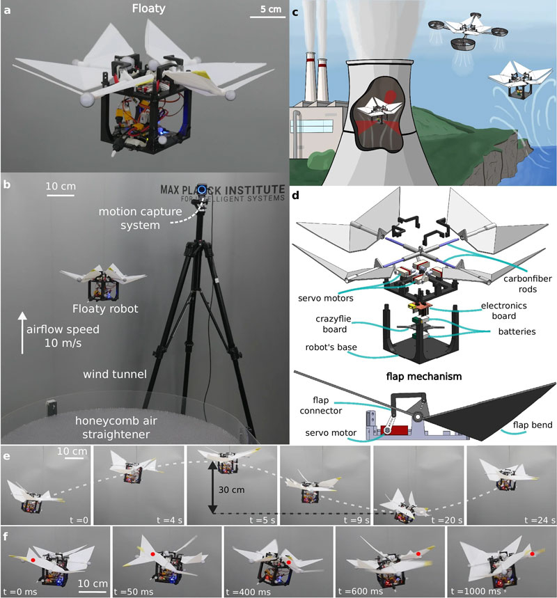  Источник изображения: Nature 2025 