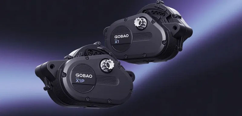  Источник изображения: Gobao 