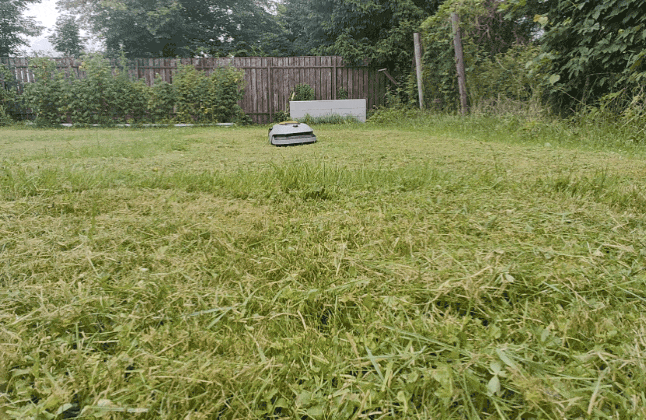  Неровности газона, на котором работал Roboticmower A1 Pro 2000 