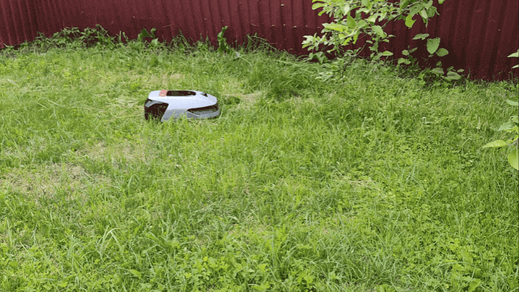  Попытка Roboticmower A1 Pro 2000 покосить высокую траву 