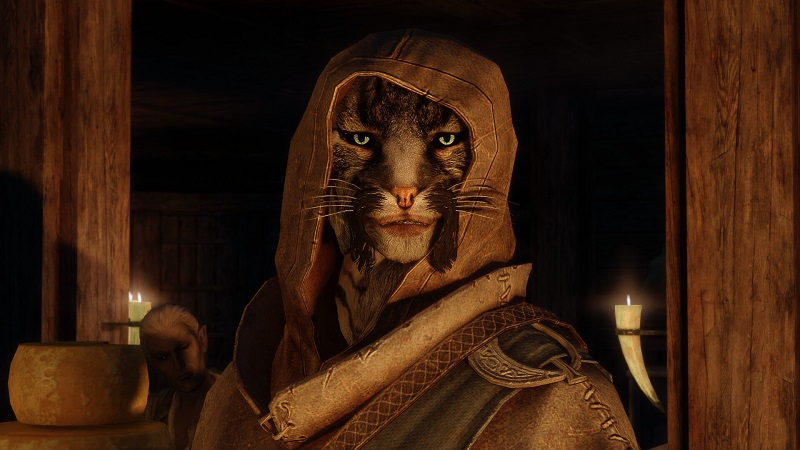  В 2026 году The Elder Scrolls V: Skyrim исполнится 15 лет (источник изображения: Einsbent в Steam) 
