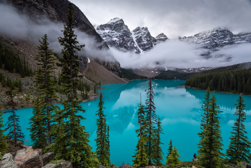  Источник изображения: Andy Holmes/unsplash.com 