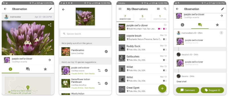  iNaturalist 