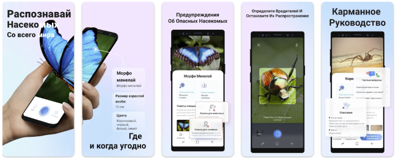  Picture Insect: Bug Identifier 