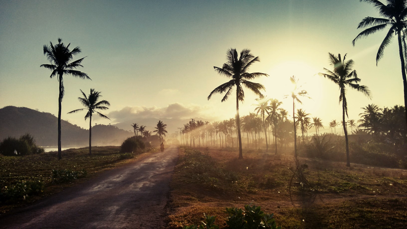  Источник изображения: Hugo Matilla/unsplash.com 