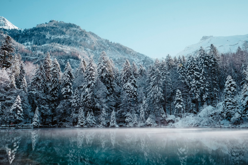  Источник изображения: Joel & Jasmin F&oslash;restbird/unsplash.com 
