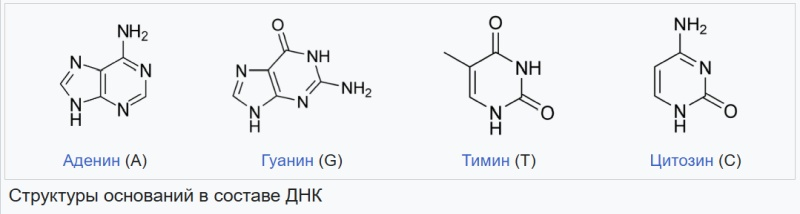  Источник изображения: Wikipedia 