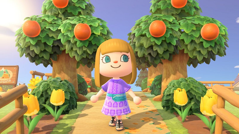  Animal Crossing: New Horizons (источник изображения: Nintendo) 