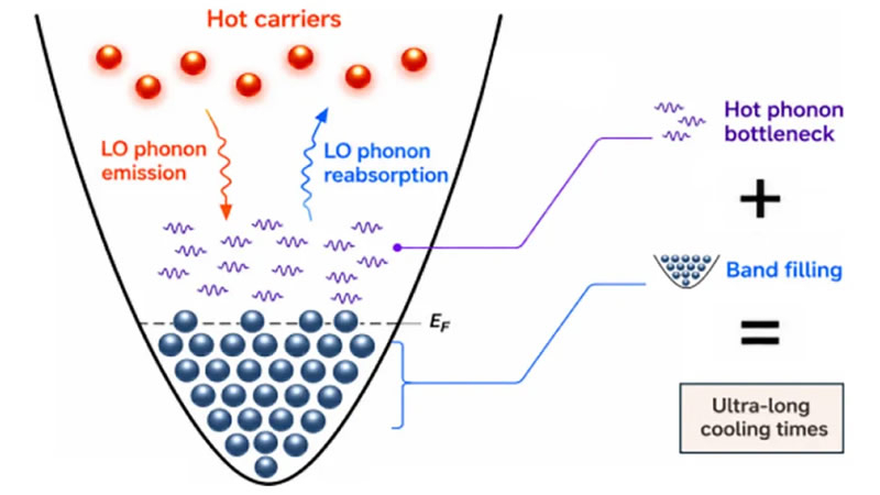  Источник изображения: Faber et al., ACS Energy Letters, 2026 
