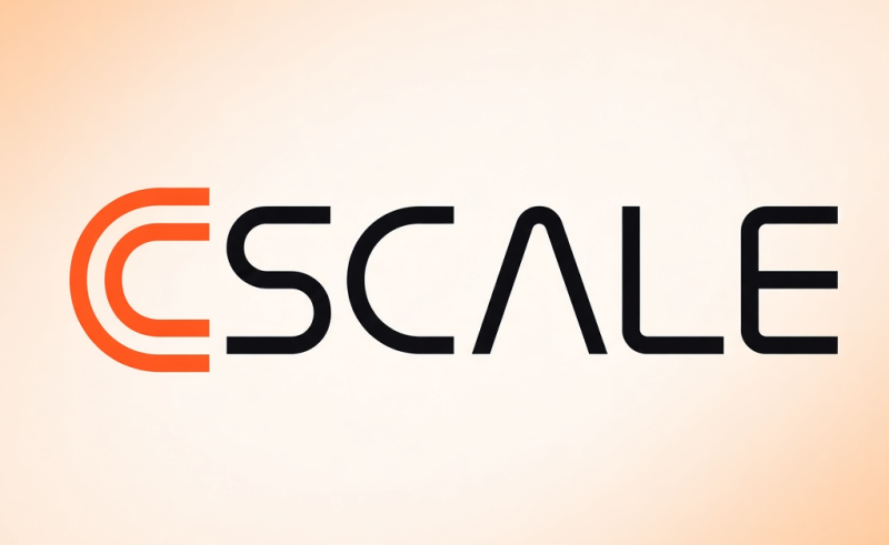  Источник изображения: CScale 