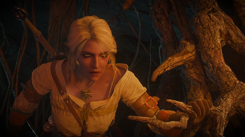  Источник изображения: CD Projekt Red 